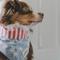 Show in main carousel: The Paws National Dog Bandana, Blue, X-Large slide 2 of 8