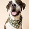 Show in main carousel: The Paws Brew Dog Bandana, Green, Small slide 2 of 7