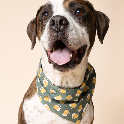 Show full view: The Paws Brew Dog Bandana, Green, Small slide 2 of 7