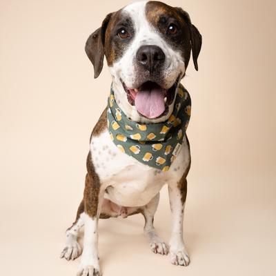 Show full view: The Paws Brew Dog Bandana, Green, Small slide 4 of 7