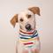 Show in main carousel: The Paws Frontier Dog Bandana, Stripes, Small slide 4 of 7