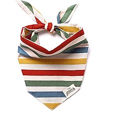 The Paws Frontier Dog Bandana, Stripes, Small