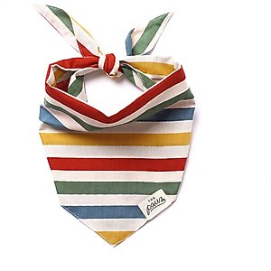 The Paws Frontier Dog Bandana, Stripes, Small