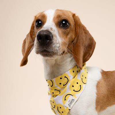 Show full view: The Paws Smile Dog Bandana, Yellow, X-Large slide 2 of 9