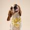 Show in main carousel: The Paws Smile Dog Bandana, Yellow, X-Large slide 4 of 9