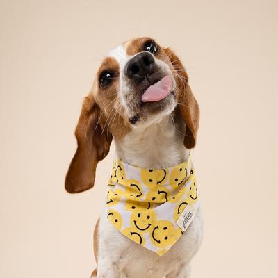 Show full view: The Paws Smile Dog Bandana, Yellow, X-Large slide 4 of 9