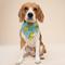 Show in main carousel: The Paws Fetch Dog Bandana, Green, Small slide 5 of 9