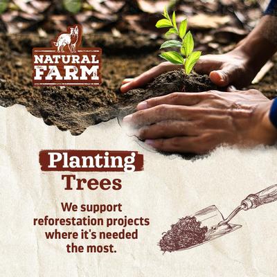 Show full view: Natural Farm 12-inch Braided Bully Stick Dog Treats, 5 count slide 8 of 8