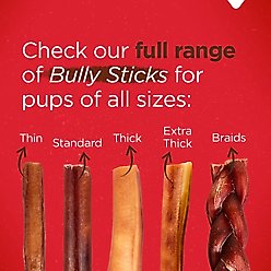 Natural Farm 4 to 5-inch Braided Bully Sticks Dog Treats, 10 count slide 2 of 7