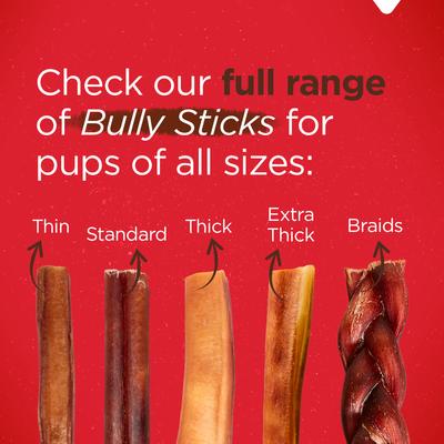 Show full view: Natural Farm 6-inch Extra Thick Bully Sticks Dog Treats, 2 count slide 7 of 7