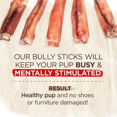 Show full view: Natural Farm 2 to 5-inch Eccentric Bully Sticks Dog Treats, 8-oz bag slide 5 of 8