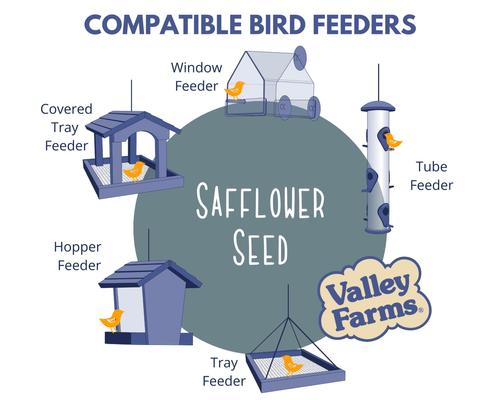 Show full view: Valley Farms Safflower Seed Wild Bird Food, 4-lb bag slide 5 of 10