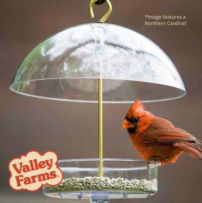 Show full view: Valley Farms Safflower Seed Wild Bird Food, 4-lb bag slide 8 of 10