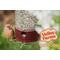 Show in main carousel: Valley Farms Safflower Seed Wild Bird Food, 4-lb bag slide 7 of 10