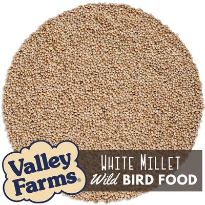 Show full view: Valley Farms White Millet Wild Bird Food, 20-lb bag slide 3 of 10