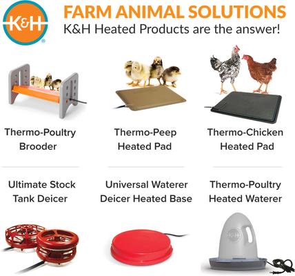 Show full view: K&H Pet Products Thermo-Poultry Heated Chicken Brooder slide 9 of 12
