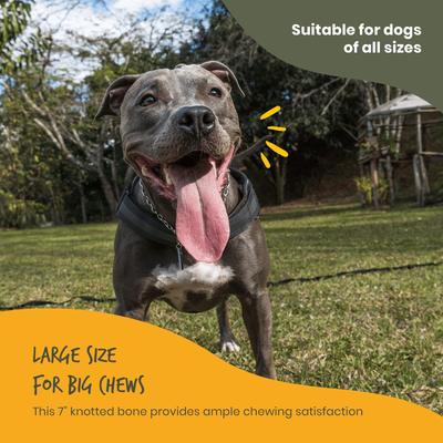 Show full view: Levetiracetam Compounded Tuna Oral Oil Suspension, 250 mg/mL, 30 mL for Veterinary use slide 6 of 12