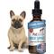 Show in main carousel: PetSilver Respiratory Cough & Immune Support for Dogs & Cats, 2-fl oz bottle slide 1 of 9