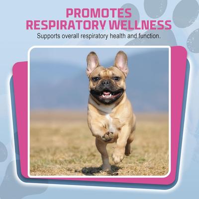 Show full view: PetSilver All Natural Cat & Dog Respiratory Solution & Immune Support, 16-fl oz bottle slide 8 of 10