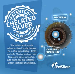 PetSilver Chicken & Bird Wound Spray, 12-fl oz bottle slide 2 of 9