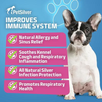 Show full view: PetSilver All Natural Cat & Dog Respiratory Solution & Immune Support, 16-fl oz bottle slide 4 of 10