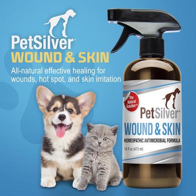 Show full view: PetSilver Wound & Skin Spray for Dogs & Cats, 16-fl oz bottle slide 9 of 11