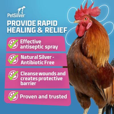 Show full view: PetSilver Chicken & Bird Wound Spray, 12-fl oz bottle slide 2 of 10
