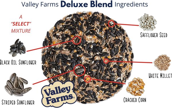 Show full view: Valley Farms Deluxe Wild Bird Food, 40-lb bag slide 6 of 9