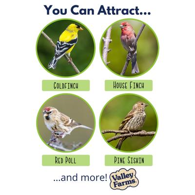 Show full view: Valley Farms Nyjer Seed Wild Bird Food, 15-lb bag slide 4 of 9