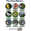 Show in main carousel: Valley Farms Super Deluxe Wild Bird Food, 40-lb bag slide 4 of 9