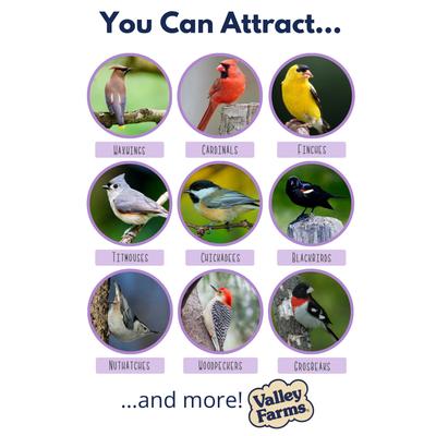 Show full view: Valley Farms Fruit, Nut & Berry Mix Wild Bird Food, 4-lb bag slide 4 of 9