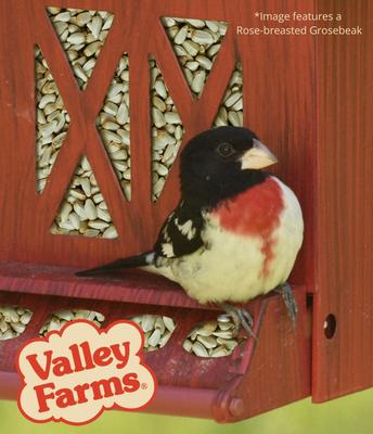 Show full view: Valley Farms Safflower Seed Wild Bird Food, 4-lb bag slide 9 of 10