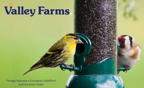 Show full view: Valley Farms Nyjer Seed Wild Bird Food, 15-lb bag slide 9 of 9