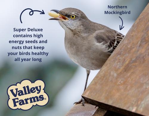 Show full view: Valley Farms Super Deluxe Wild Bird Food, 40-lb bag slide 9 of 9