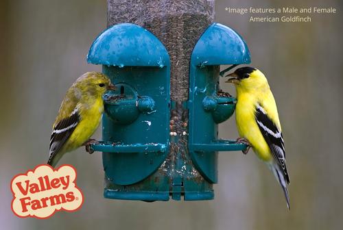 Show full view: Valley Farms Nyjer Seed Wild Bird Food, 15-lb bag slide 7 of 9