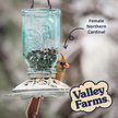 Show in main carousel: Valley Farms Super Deluxe Wild Bird Food, 40-lb bag slide 8 of 9