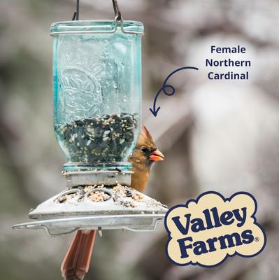 Show full view: Valley Farms Super Deluxe Wild Bird Food, 40-lb bag slide 8 of 9