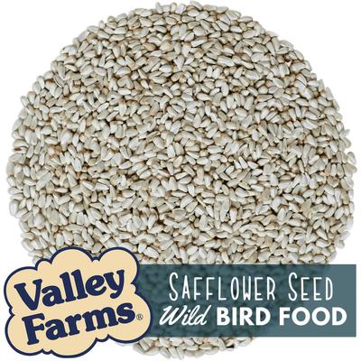 Show full view: Valley Farms Safflower Seed Wild Bird Food, 4-lb bag slide 3 of 10