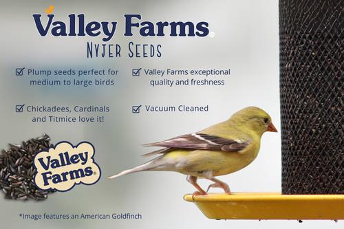 Show full view: Valley Farms Nyjer Seed Wild Bird Food, 15-lb bag slide 6 of 9