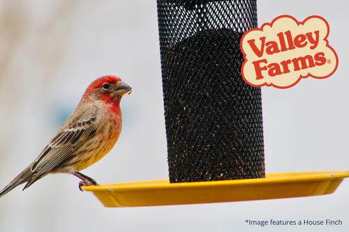 Show full view: Valley Farms Nyjer Seed Wild Bird Food, 15-lb bag slide 8 of 9