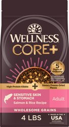 Wellness CORE+ Sensitive Skin & Stomach Natural Adult Salmon & Rice Recipe Dry Dog Food, 4-lb bag