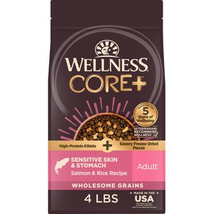 Wellness CORE+ Sensitive Skin & Stomach Natural Adult Salmon & Rice Recipe Dry Dog Food, 4-lb bag