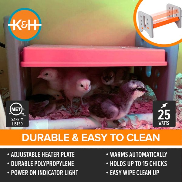 K&H Pet Products Thermo-Poultry Brooder