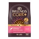 Wellness CORE+ Sensitive Skin & Stomach Natural Adult Salmon & Rice Recipe Dry Dog Food, 18-lb bag