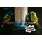 Show in main carousel: Valley Farms White Millet Wild Bird Food, 20-lb bag slide 8 of 10