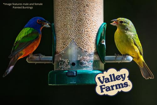 Show full view: Valley Farms White Millet Wild Bird Food, 20-lb bag slide 8 of 10