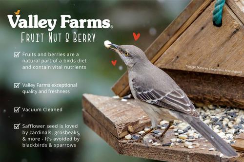 Show full view: Valley Farms Fruit, Nut & Berry Mix Wild Bird Food, 4-lb bag slide 7 of 9