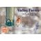 Show in main carousel: Valley Farms Safflower Seed Wild Bird Food, 4-lb bag slide 6 of 10