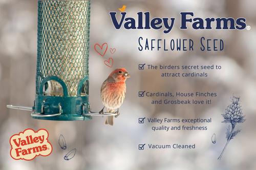 Show full view: Valley Farms Safflower Seed Wild Bird Food, 4-lb bag slide 6 of 10