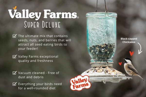 Show full view: Valley Farms Super Deluxe Wild Bird Food, 40-lb bag slide 7 of 9